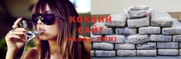 сатива Волоколамск