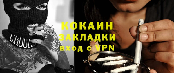 сатива Волоколамск