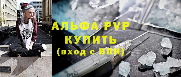 сатива Волоколамск