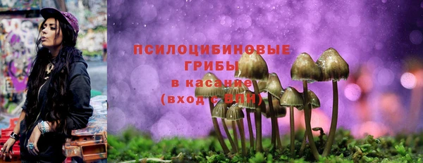 сатива Волоколамск
