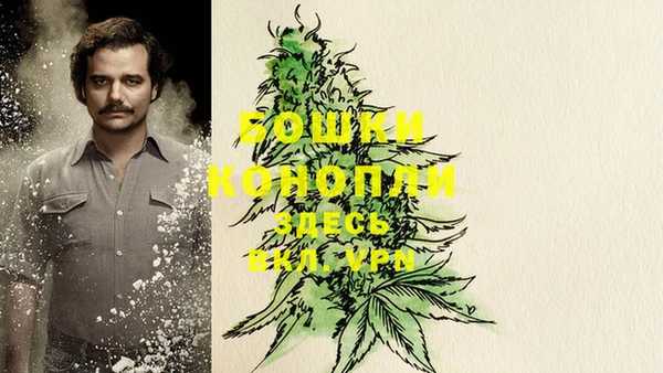 COCAINE Калининец