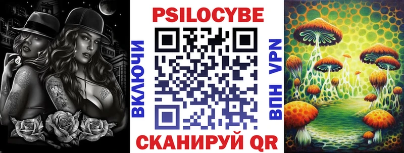 как найти закладки Нерюнгри Псилоцибиновые грибы Magic Shrooms