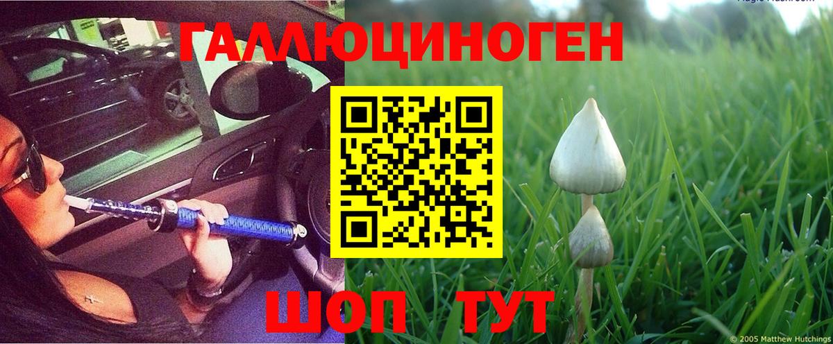 Псилоцибиновые грибы Magic Shrooms  Галлюциногенные грибы Psilocybine cubensis  Нерюнгри 