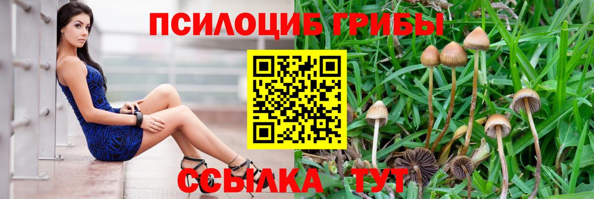 Псилоцибиновые грибы ЛСД  Галлюциногенные грибы мухоморы  Нерюнгри  Вход с VPN 