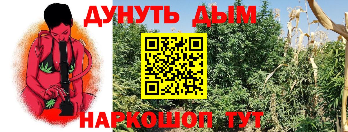 Бошки марихуана индика Нерюнгри